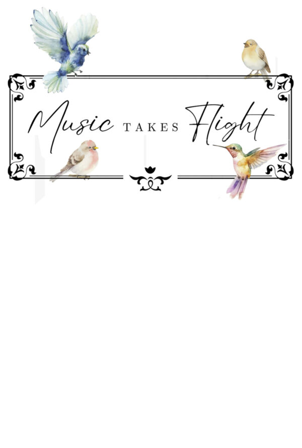 Music Takes Flight: Individual Ticket